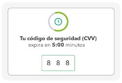 cvv_dinamico.jpg